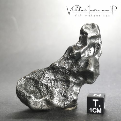 Sikhote Alin. Iron IIAB meteorite (76.83g)
