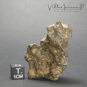 Agoudal "Imilchil" meteorite. IIAB Iron. TOP quality
