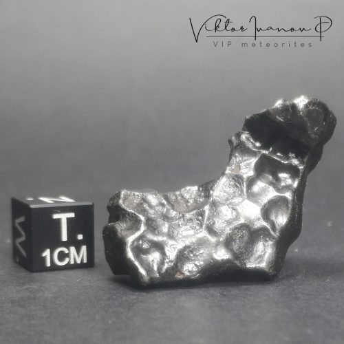Sikhote Alin. Iron IIAB meteorite (31.37g)
