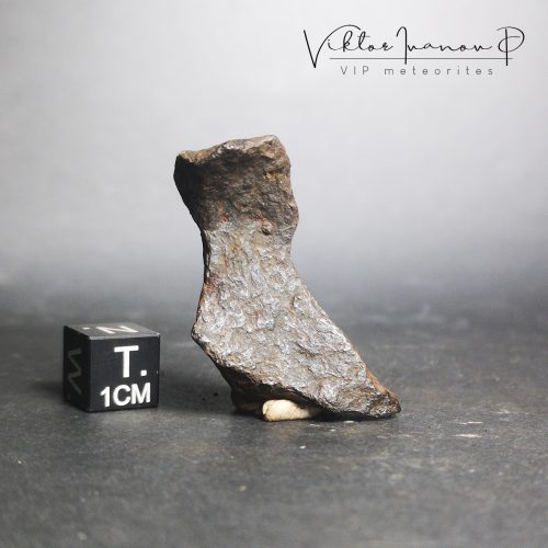 Canyon Diablo meteorite. Nice shape with natural patina